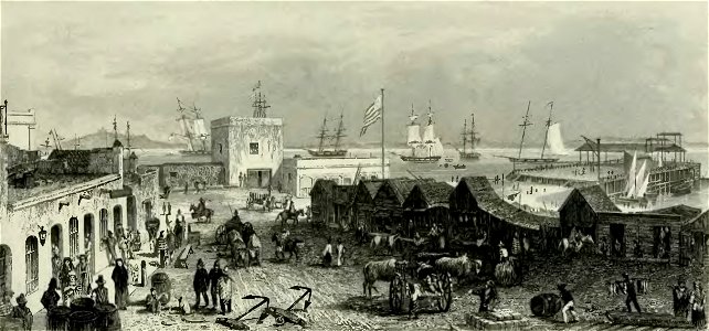 Narrative of the surveying voyages of His Majesty's Ships Adventure and Beagle between the years 1826 and 1836 (page 242 crop)