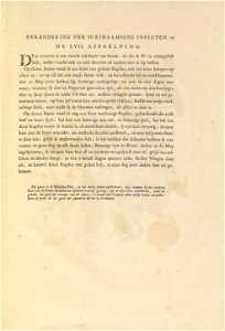 Metamorphosis insectorum Surinamensium - KW 1792 A 19 - 057