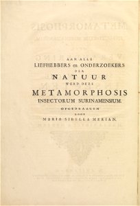 Metamorphosis insectorum Surinamensium - KW 1792 A 19 - titlepv