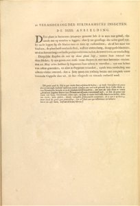 Metamorphosis insectorum Surinamensium - KW 1792 A 19 - 032