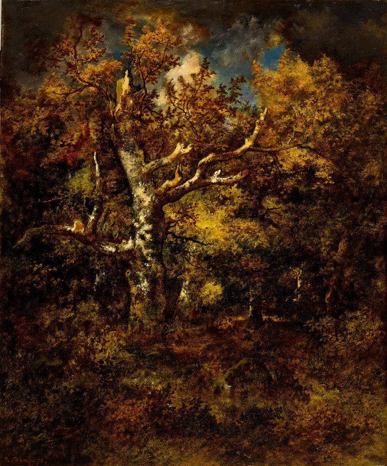 Narcisse Virgile Diaz de la Peña - Forest of Fountainebleau, Autumn - Walters 3764