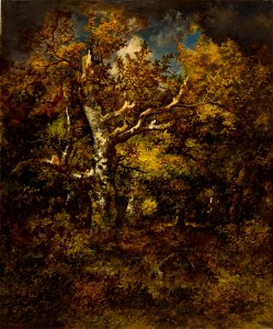 Narcisse Virgile Diaz de la Peña - Forest of Fountainebleau, Autumn - Walters 3764