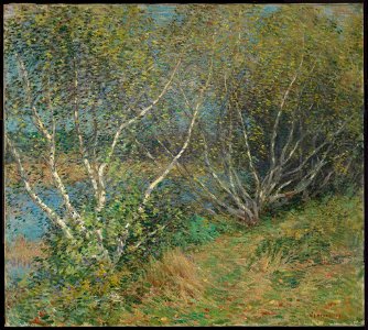 Willard Leroy Metcalf - The Birches - 19.1330 - Museum of Fine Arts