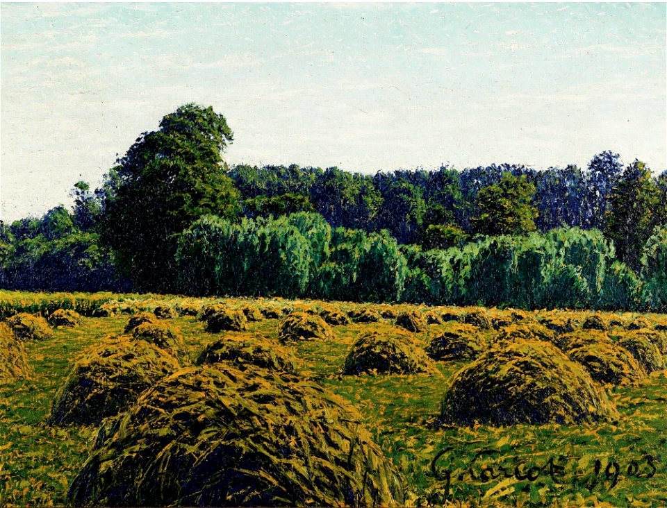 MEULES DE FOIN 