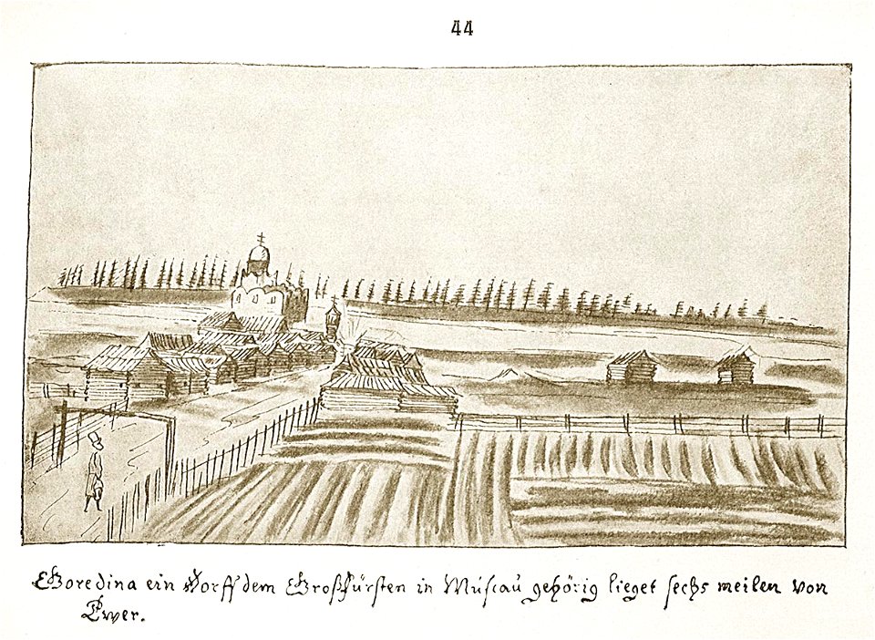 Meyerberg Gorodnia