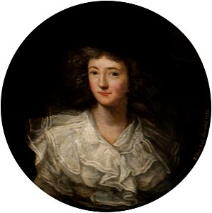 Nathaniel Hone I (1718-1784) (attributed to) - Lady Caroline Colyear (1733–1812), Lady Scarsdale - 108804 - National Trust