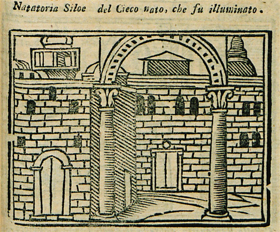 Natatoria Siloé di Cieco Nato, che fu Illuminato - Bianco Noe - 1600