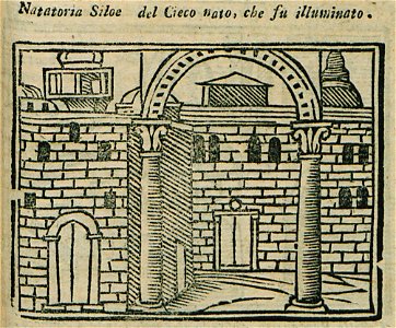Natatoria Siloé di Cieco Nato, che fu Illuminato - Bianco Noe - 1600