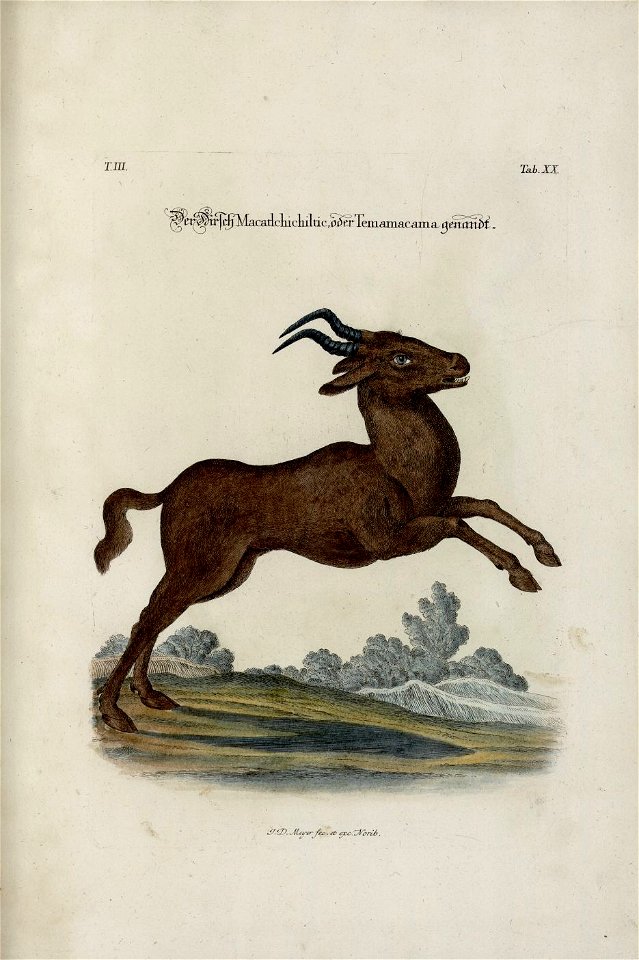 Meyer Zeit-Vertreib 3 Tafel 20