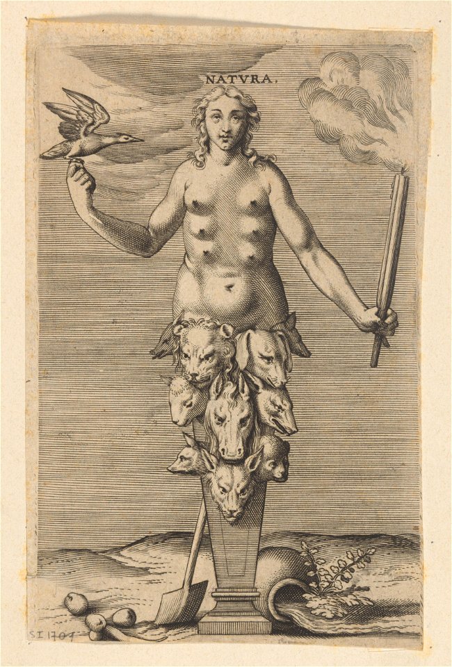 Natura print by Philip Galle, S.I 1701, Prints Department, Royal Library of Belgium
