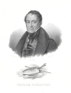 NataleSchiavoniGBusatto