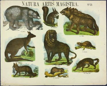Natura artis magistra-Catchpenny print-PRENT 0051