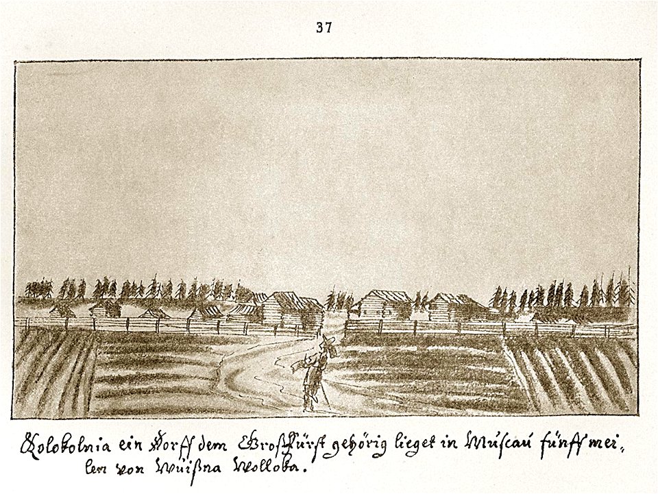 Meyerberg Holoholnia