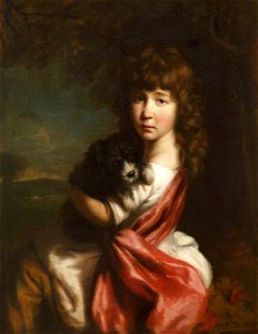 Nathaniel Hone I (1718-1784) (attributed to) - Portrait of an Unknown Young Girl with a Pet Dog - 337046 - National Trust