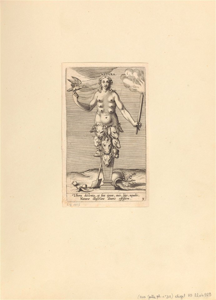 Natura print by Philip Galle,  2867, Prints Department, Royal Library  of Belgium - Free Stock Illustrations | Creazilla