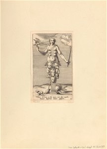 Natura print by Philip Galle, S.IV 2867, Prints Department, Royal Library of Belgium