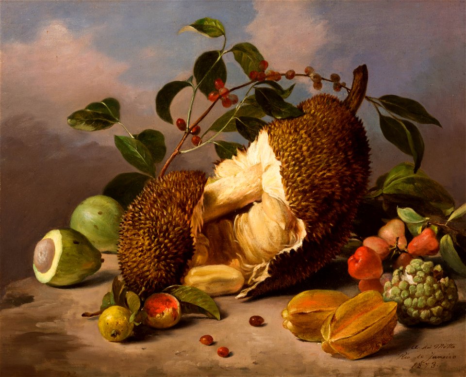 Natureza-morta com frutas (atribuído), da Coleção Brasiliana Iconográfica