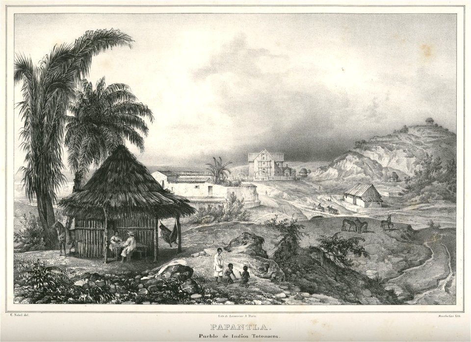 Nebel Voyage 23 Papantla