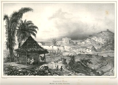 Nebel Voyage 23 Papantla