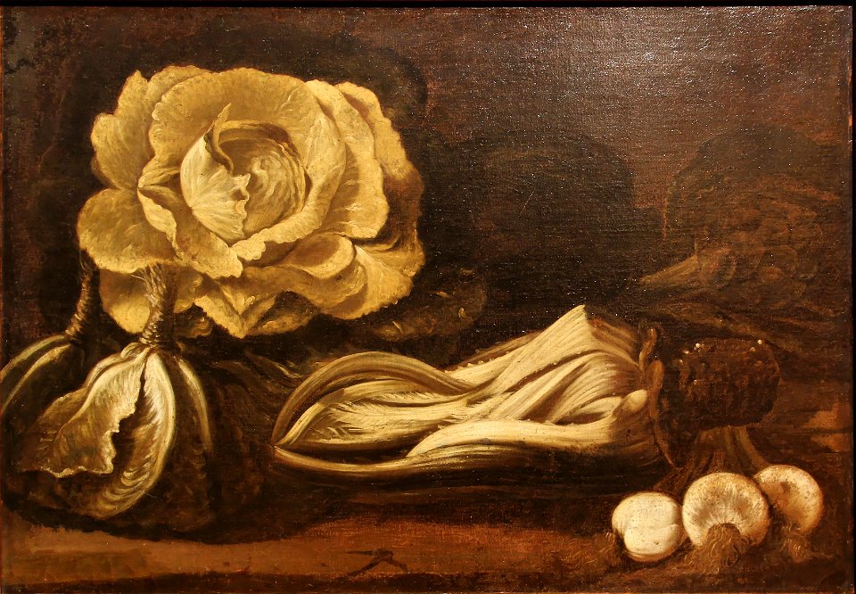 Nature morte au chou, Anonyme, Musée Goya