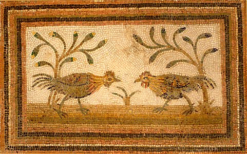 Neapolis musée, Nabeul décembre 2017 DSC 7178