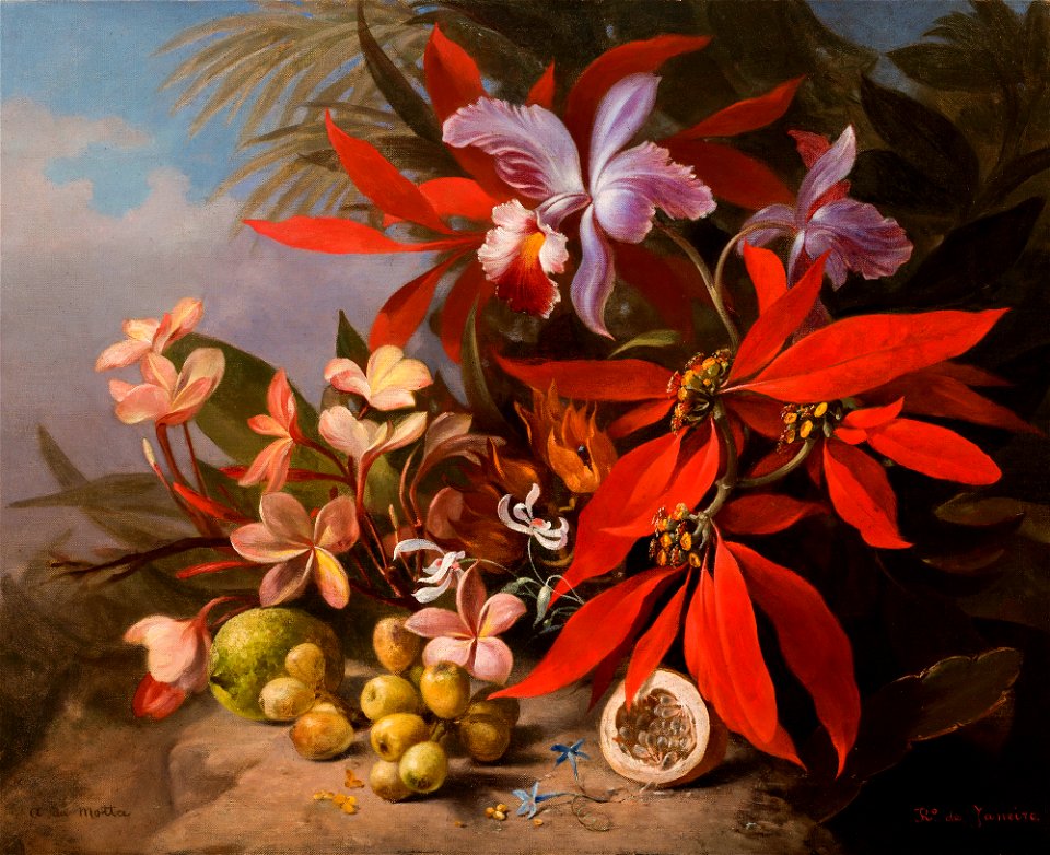 Natureza-morta com flores (atribuído), da Coleção Brasiliana Iconográfica