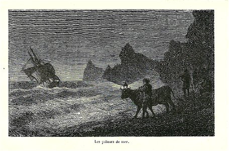 Naufrage-les pilleurs de mer-gravure