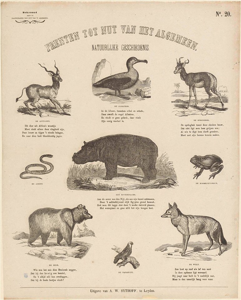 Natuurlijke geschiedenis
