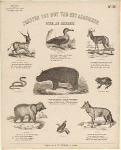 Natuurlijke geschiedenis