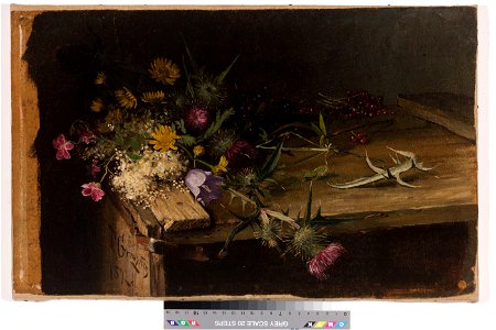 Natüürmort, Tõnis Grenzstein, TKM TR 5518 M 954