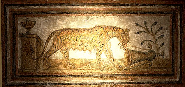 Neapolis musée, Nabeul décembre 2017 DSC 7171