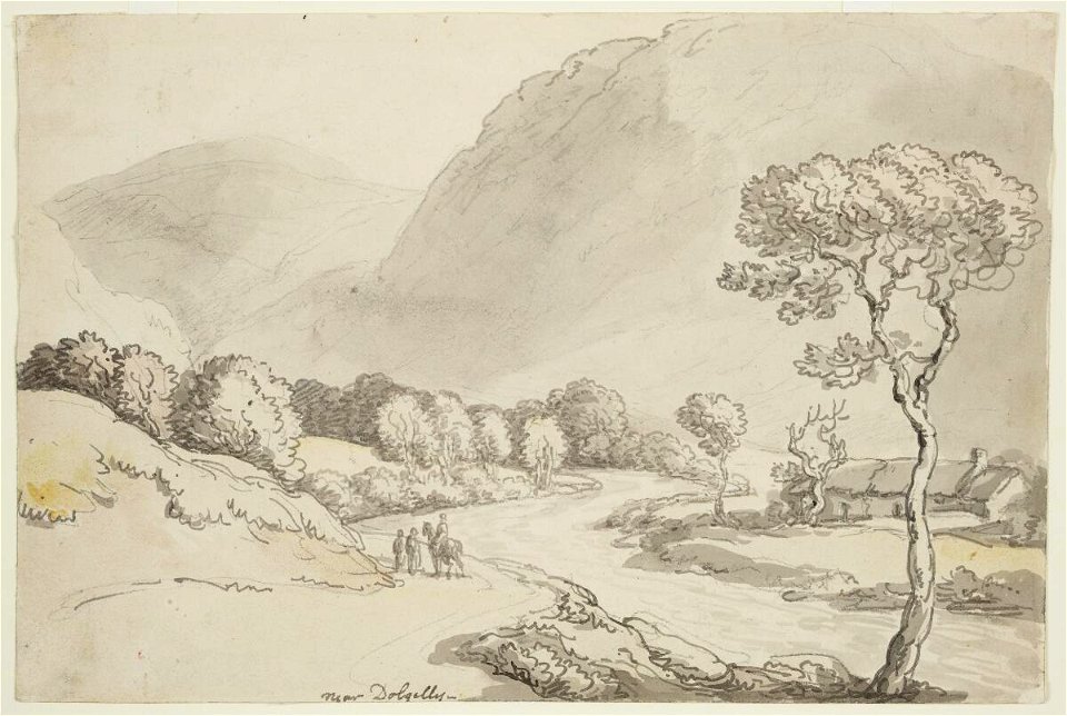 Near Dolgellau (4786095)