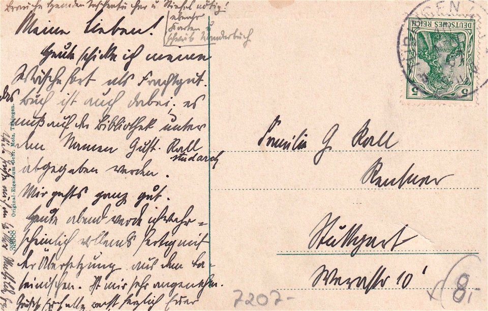 Neckaransicht mit Schloss und Alleenbrücke (AK 39388 Gebr. Metz) R