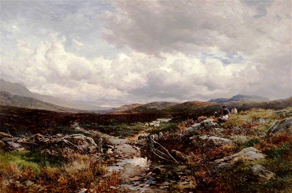 Near Festiniog (gcf02179)