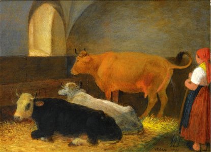 Neder-A maid in a cow barn