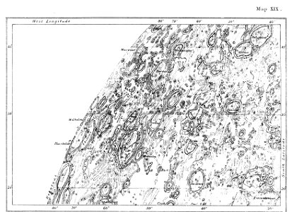 Neison-19