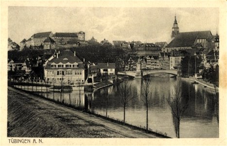 Neckar bei der Steinlachmündung (AK 76475 Gebr. Metz 1914)