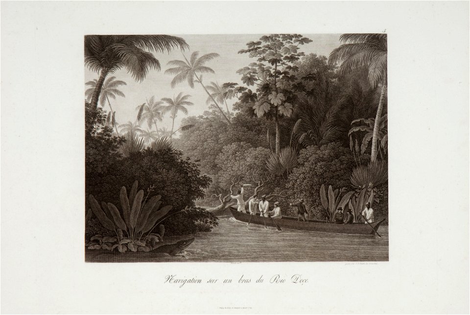Navigation sur un bras du Rio Doce, da Coleção Brasiliana Iconográfica