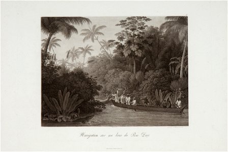 Navigation sur un bras du Rio Doce, da Coleção Brasiliana Iconográfica