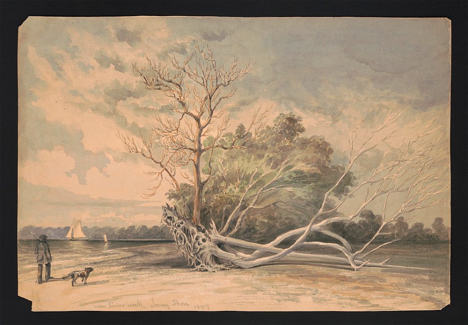 Near Timber Creek, Jersey shore 1859 LCCN2016649115