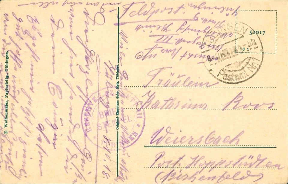 Neckarfront mit Österberg (AK 51017 Gebr. Metz E. Weihenmaier 1918) R