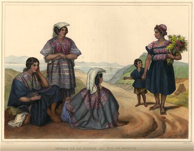 Nebel Voyage 41 Indias de la Sierra