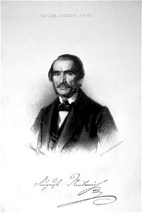 Neilreich Litho