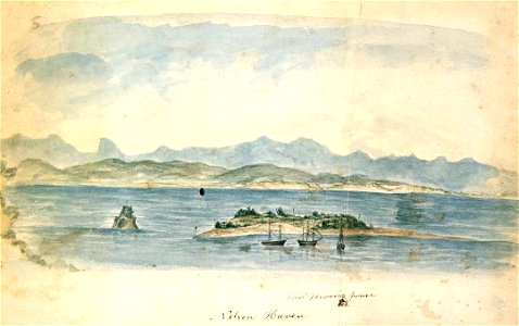Nelson Haven A-145-006