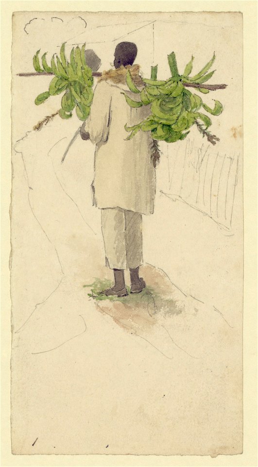 Negro man carrying plantains on pole LCCN2007675696