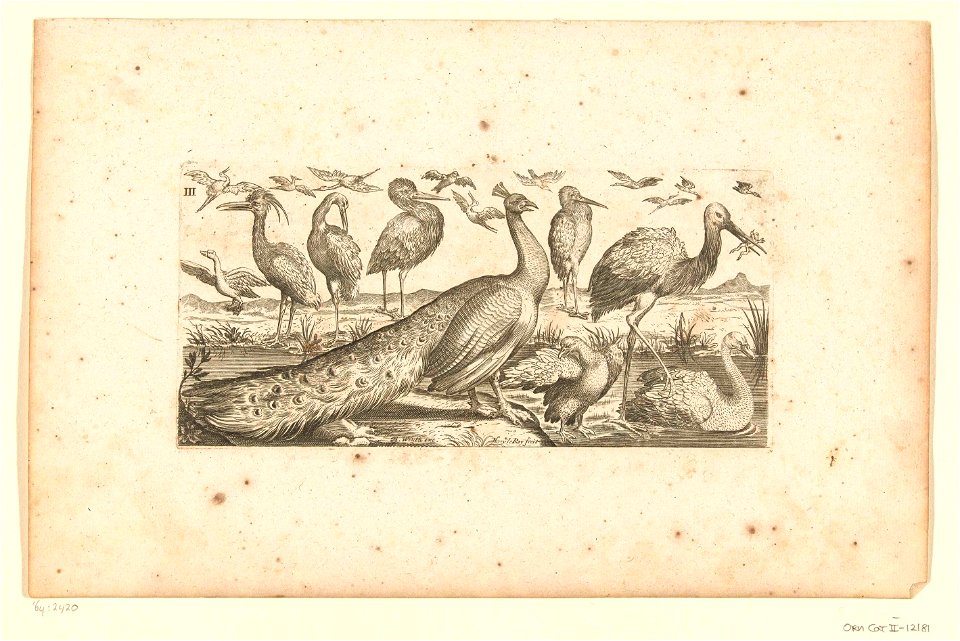Negentien vogels