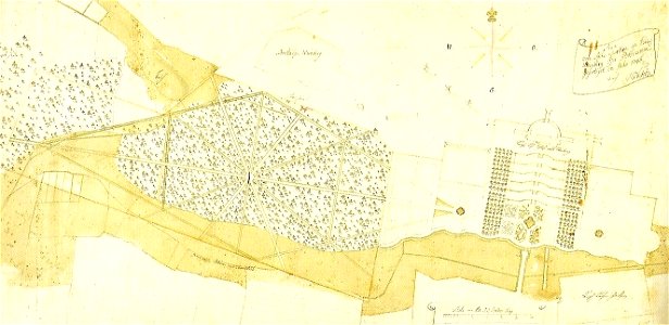 Netcke-Plan, Sanssouci, 1746