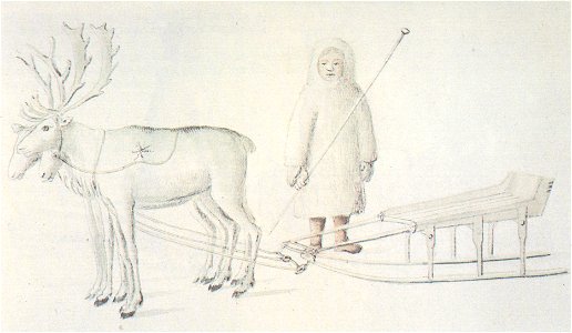Nenets visiting Riga in 1786 by Brotze