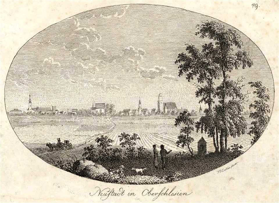 Neustadt OS Panorama Endler