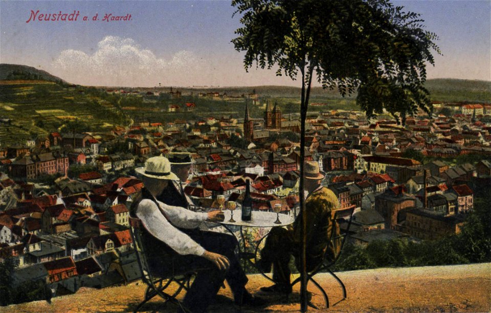 Neustadt, Haardt, Rheinland-Pfalz - Stadtansicht (2) (Zeno Ansichtskarten)